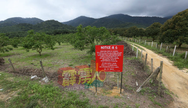 一家私人公司在布先喜洲新村后方的农耕地范围外，发现有人置放数个印有要求农民搬离该处的告示牌。