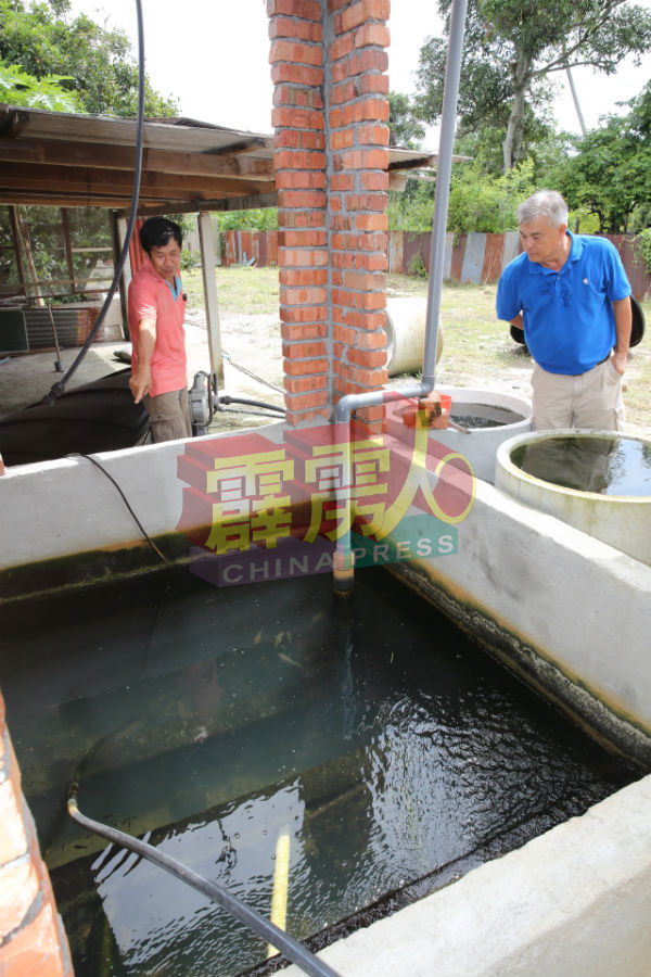 小龙虾的池水，每隔两三天就需更换30%的水，而清洁的水就是由此水质过滤站输入。