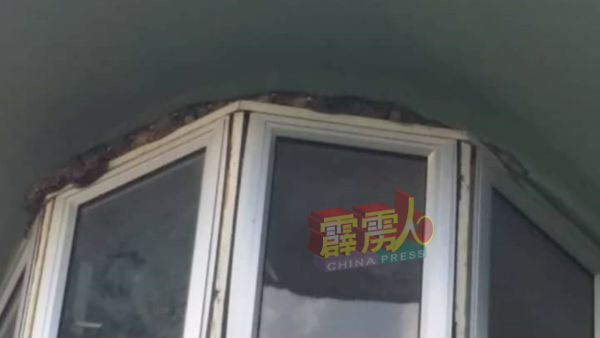 大蛇盘踞在哨站塔的窗框上。