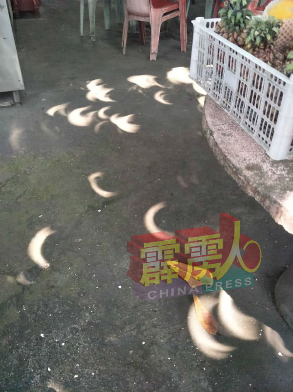 读者游雅媖在霹雳洞一带拍摄到满地都是月牙形太阳的倒影。