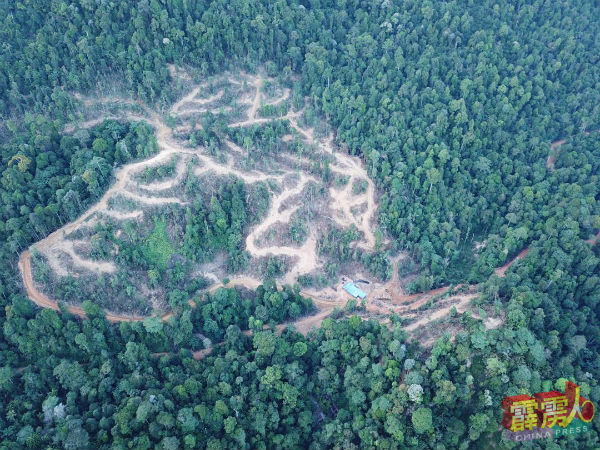 升旗山山脉的约20公顷森林已被砍伐。
