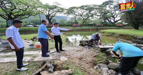 廖泰义(左3)联袂助理梅根(左),向承包商陈建华商讨石头桥工程进展情况。