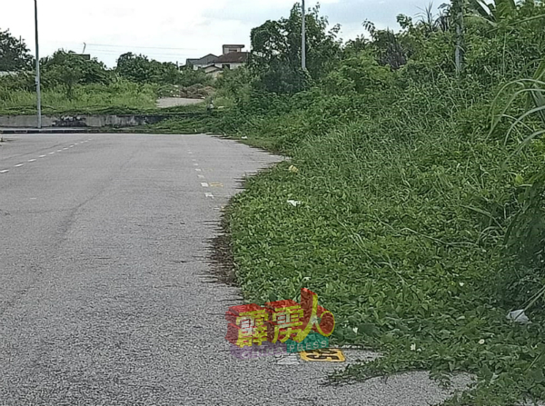 九洞一些地点的市政厅泊车位被野草盖住格位。