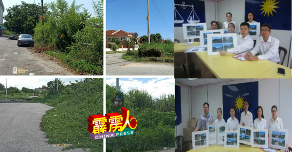 市区斯里彬等12地点的野草近半年无人清理,引起卫生及其他问题。