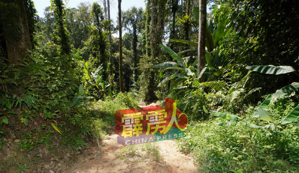 所有森林局管辖的活动一律停止。