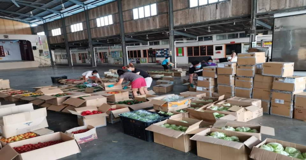 3吨重的马金仑蔬菜载抵十八丁，并停放在十八丁培英华小礼堂准备派送给村民。