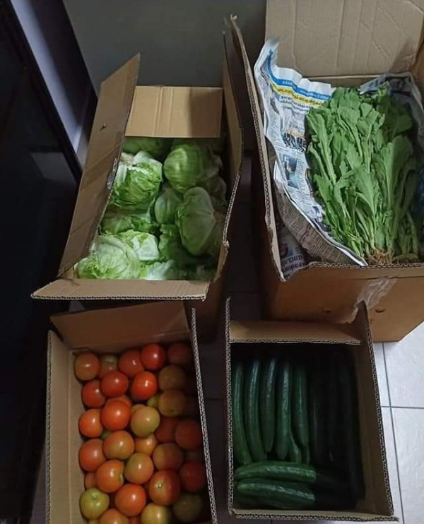 蔬菜准备被包装，然后送给村民。