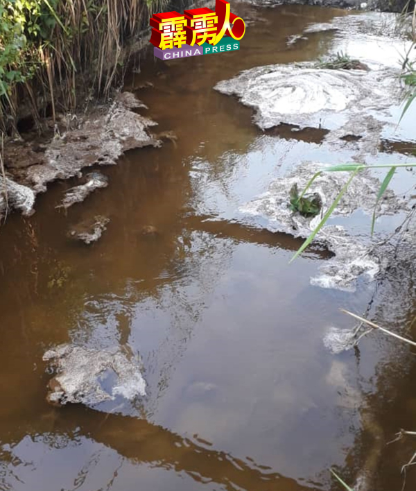 原胶汁在遇上钙盐后，凝固成一块块的胶块。