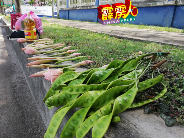 摆在地面上的农作物，供好心人乐捐“购买”。