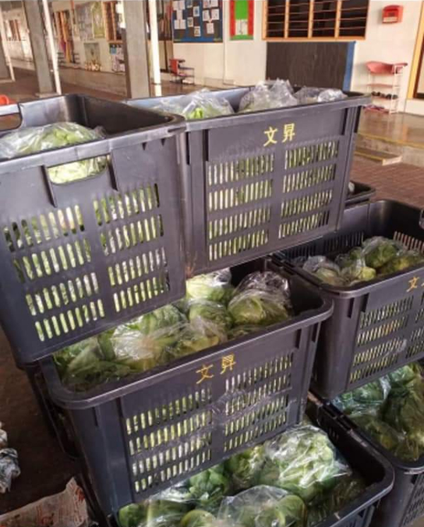 一篮篮的蔬菜，准备送给十八丁村民免费吃。