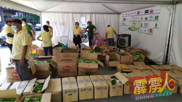 金马崙农业协会宣布即起推介“援农送菜运动”,向当地菜农认购蔬菜,转送给全国有需要的人士。