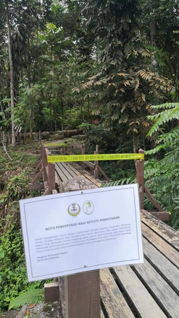 森林局已在拉律山捷径山路进口竖立告示牌,禁止民众进入森林活动。