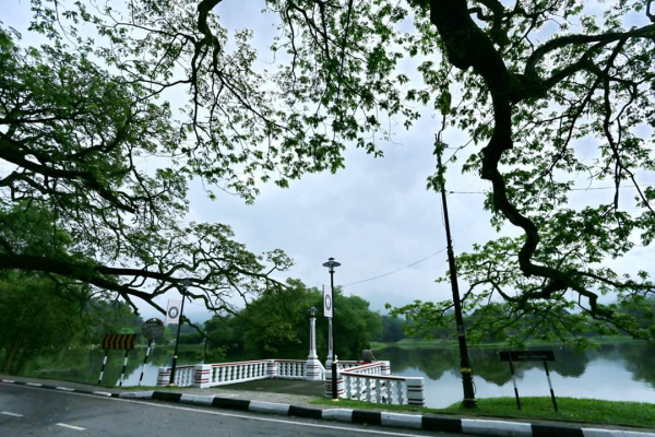 由于管制令限制,太平湖公园还不能重开,公园显得清静。