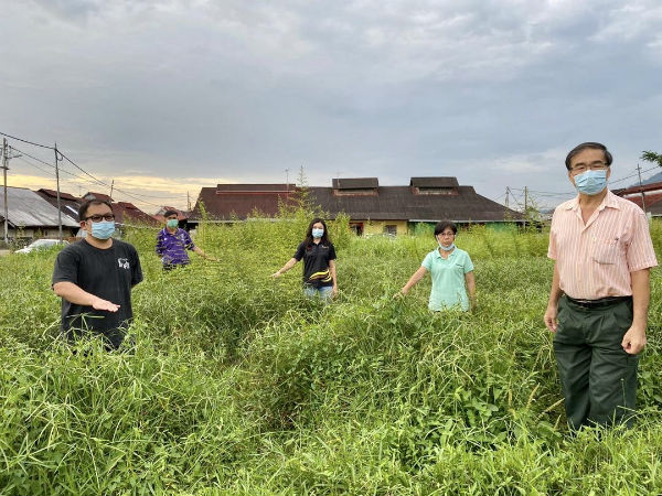 古海燕(中)巡视埃斯顿新村旁的空地杂草丛生情况;左起为古耀光、马绍伦、熊雅莲和丘金明。