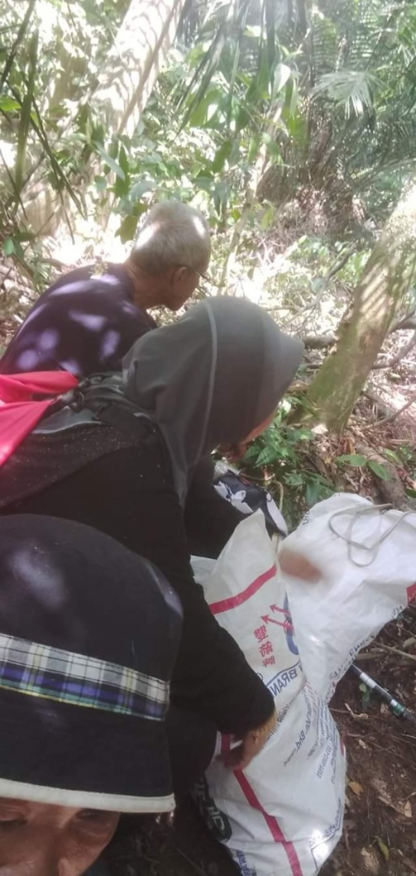 4人迷失山林,焦急的等待施援。
