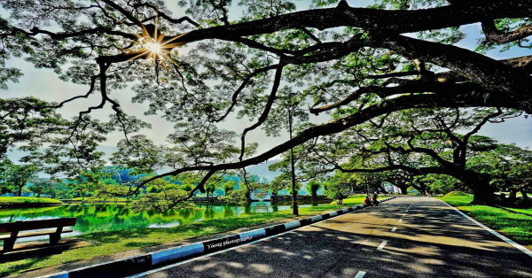 太平湖公园已升格为霹雳皇家公园。