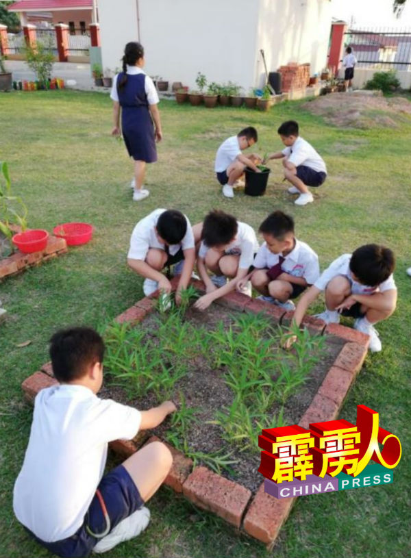 学生在课余时间，参与绿化校园计划，在“耕心田”菜园种植蔬菜。