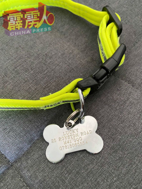 狗牌上已有Lucky的名字。