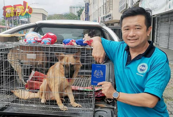 宋伟钊为领养者协助办理航空托运手续,并展示即将飞往英国的Lucky护照。