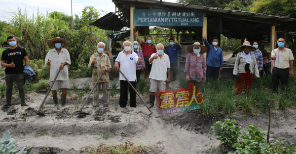 “督亚冷乐龄农耕健康计划”共有16名年龄介于60岁至92岁的长者，每日准时前往菜园报到。