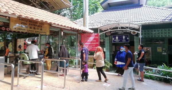 太平动物园游客因为受疫情管制令及雨季影响,游客人数骤跌。