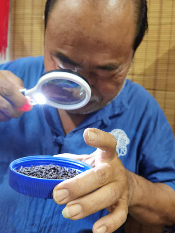陈育兴保留数十年的茶叶已部分结晶,用放大镜可看到些许发亮的结晶。