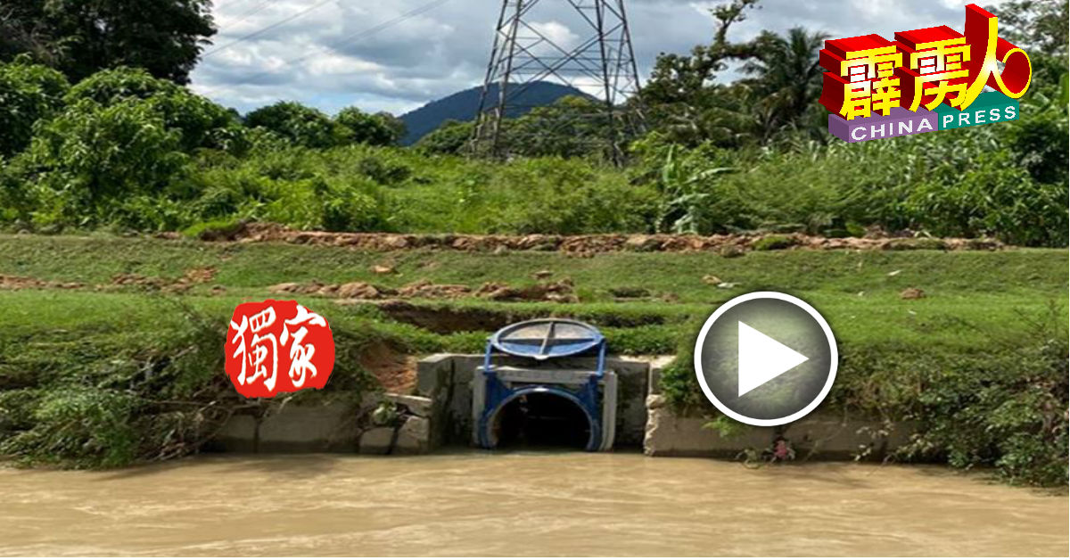 张志坚指经巡视水患区后，建议当局在适当地点建设及维修水闸门，以解决水患问题。