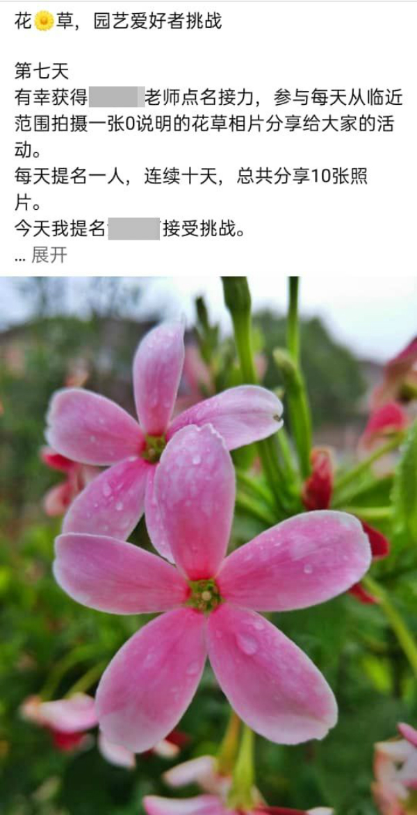 近来面子书流传“花草、园艺爱好者挑战”。