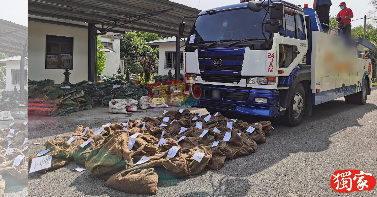 不法人士以拖车罗厘走私蚶苗不果被拦截，警方起获市价约5万8800令吉的蚶苗。