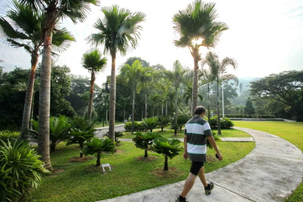 霹靂植物園是太平最新的旅遊景點，潛能待進一步開放與宣傳。