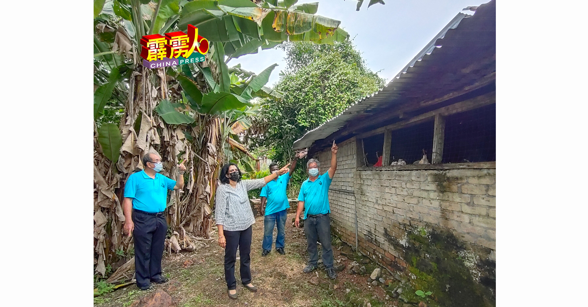 陈金龙（左起）、茵特娜妮、西华甘尼申及黄星光所指，乃老夫妇住家更新的锌板。