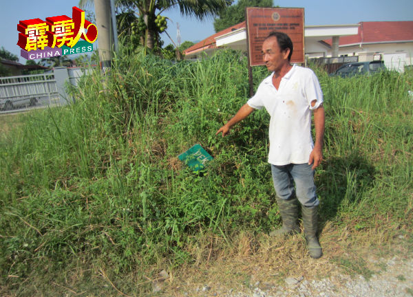 居民陈日成（右）指屋前野草丛生及路牌被撞掉落草丛，并呼吁村委会正视及要求地方政府清理及重竖路牌。
