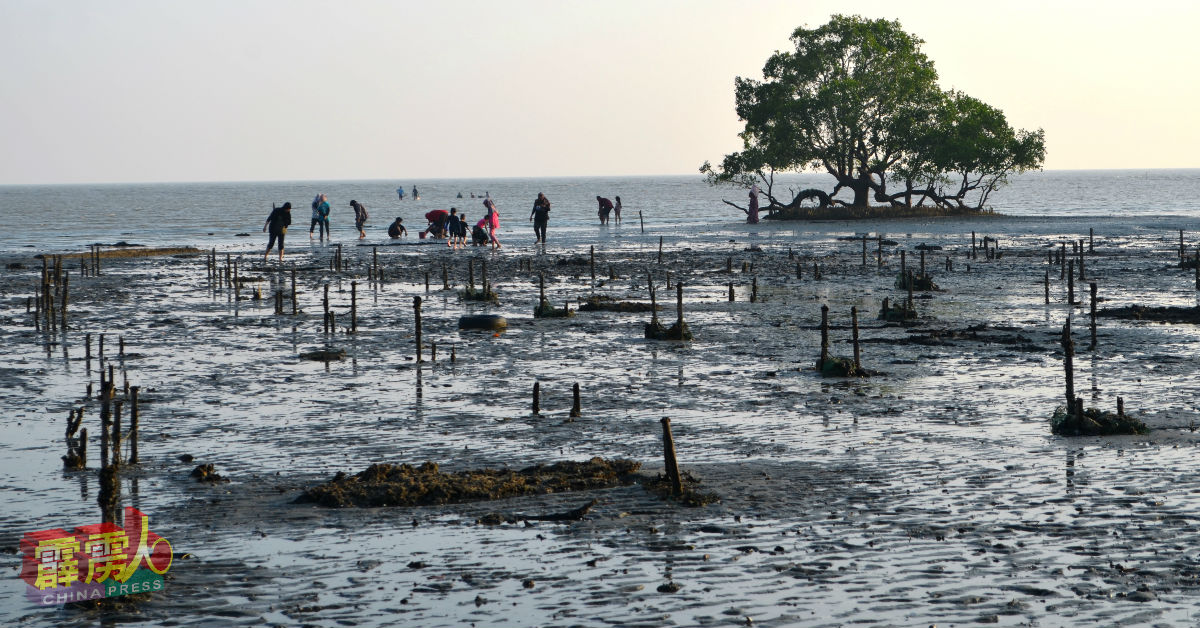 丹绒客巴海滩退潮之际，民众可朝海中央漫步，欣赏海景。