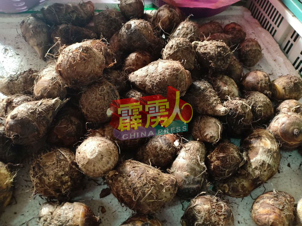 小芋头也是中秋节应节品之一，可少不了。