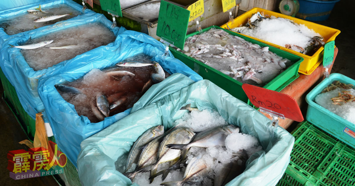 班台渔行各式各样的海产渔获供应如常。