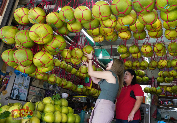 柚子上市后，不少消费者已前往选购。