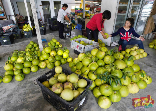 目前柚子货源充足，价格则与平日相若，未有涨价。
