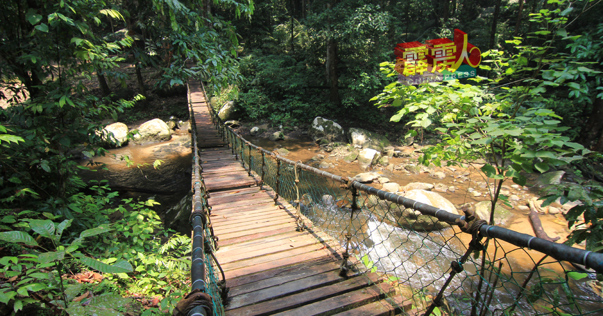 玲珑石冷河生态森林公园的吊桥，可让游客体验步步为营之感，非常刺激。
