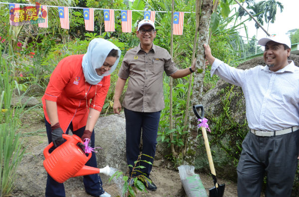 诺米（左起）为种植后的猫山王树苗浇水，希望原住民能细心照顾树苗。
