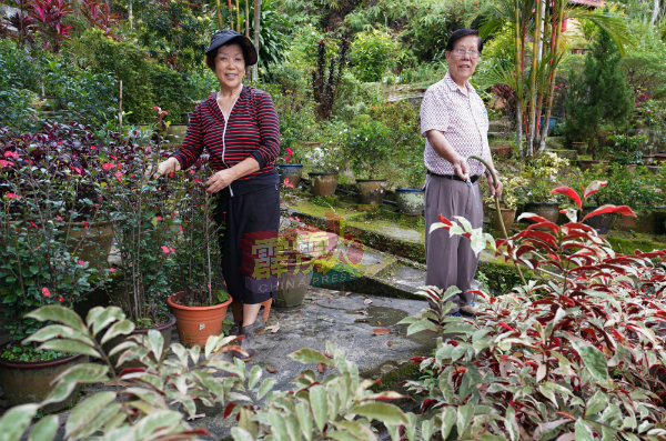 卢惠元及黄月凤夫妇，每日风雨不改结伴上山，在大众花园劳动耕耘。