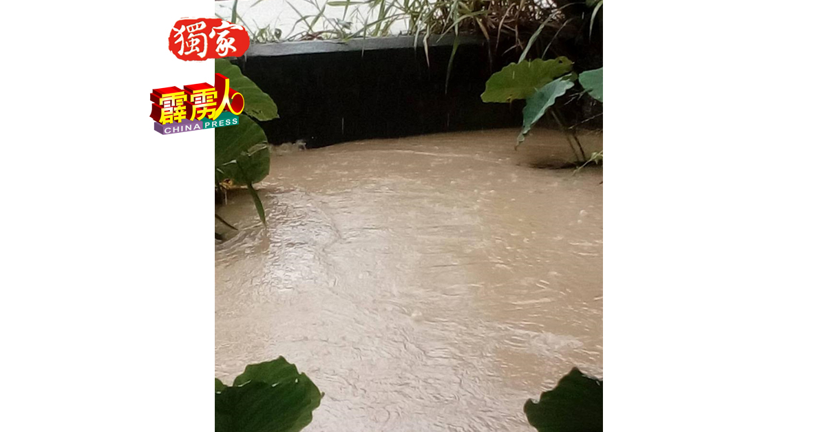 刘政展认为，鱼塘逢雨必灾的原因，是附近这个排水管过窄，导致雨水来不及疏散。