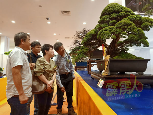 邓作庭（左起）讲解其获得盆栽组全场总冠军的作品，陈幼娟和邱炳吉洗耳恭听。