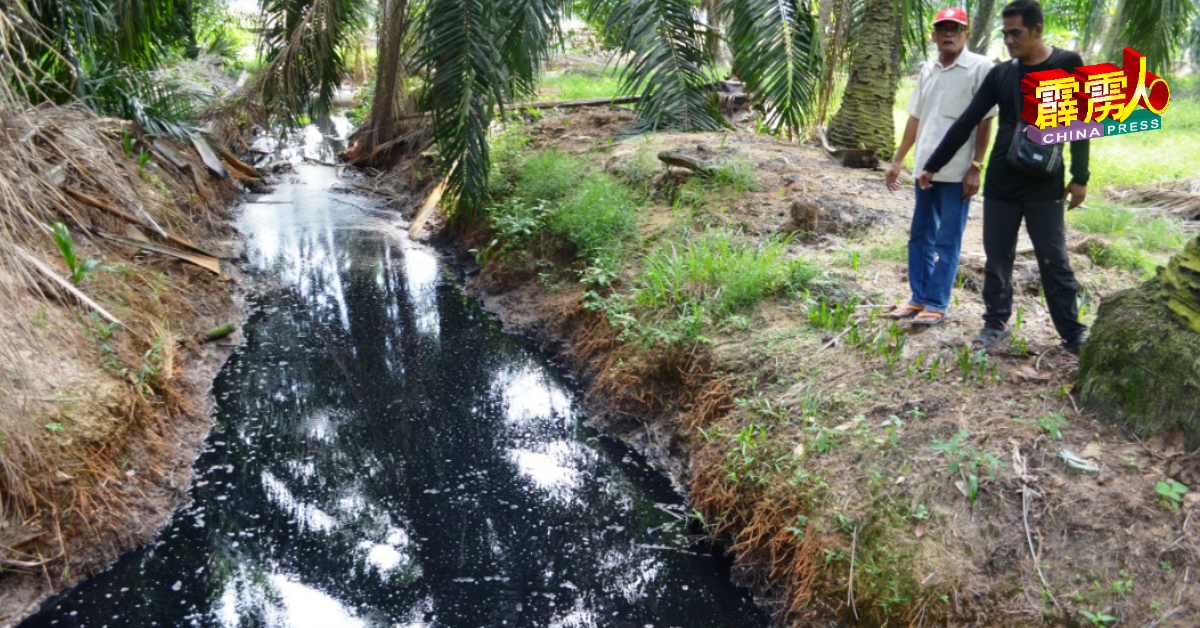 昔加里郊区农地的沟道和小河，出现黑色的流水，水面佈满泡沫且发出恶臭。（档桉照）