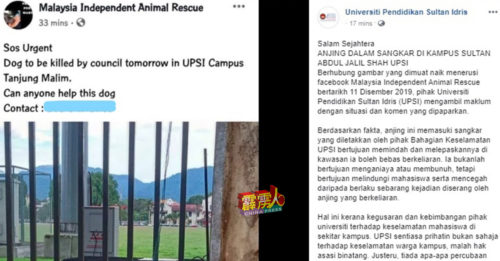 苏丹依德利斯教育大学：没杀逮获的流浪狗！ ！