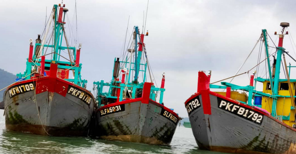 大马海事执法机构扣押3艘违规捕获的B执照渔船。