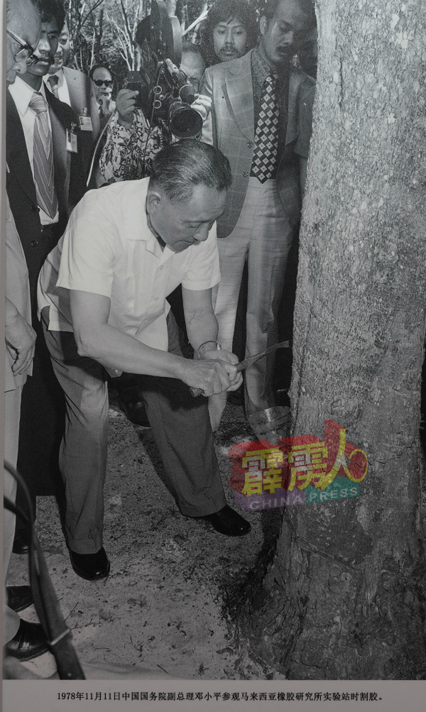 时任中国国务院总副总理邓小平访马，参观大马橡胶研究所实验站时，亲身体验割胶。