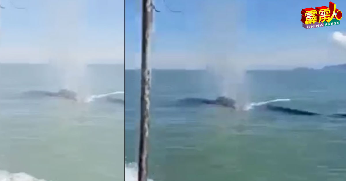 渔民近距离摄下鲸鱼浮出水面呼吸时，喷出水柱，与渔船有惊无险地擦身而过的画面！