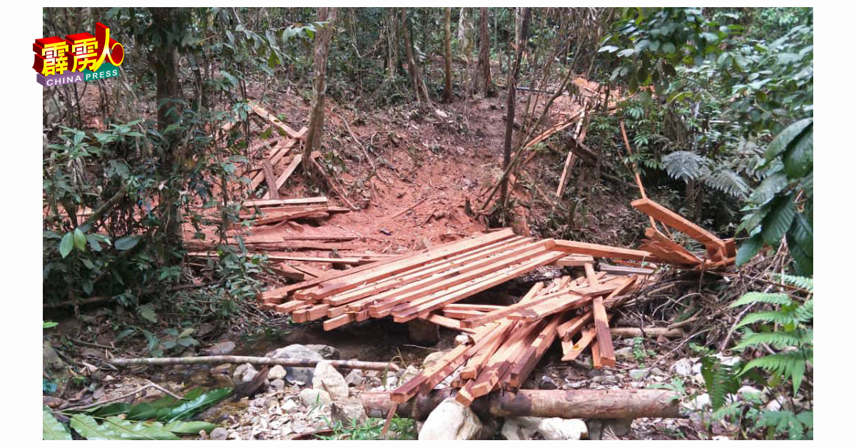 宜力克鲁乃山脚下出现非法伐木活动。