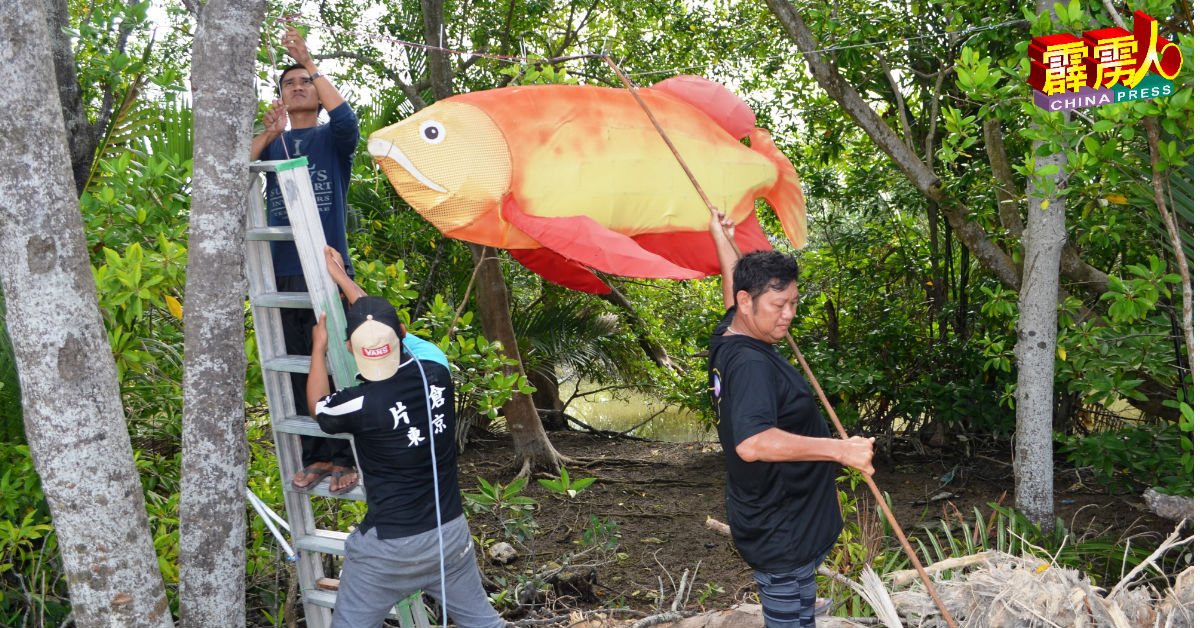蔡福文（右）和员工忙着在红树林间挂上鱼造型花灯。
