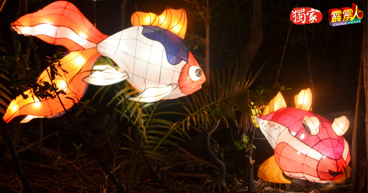 新春花灯展也在周遭的红树林挂着班台人亲手製作的海底世界花灯。